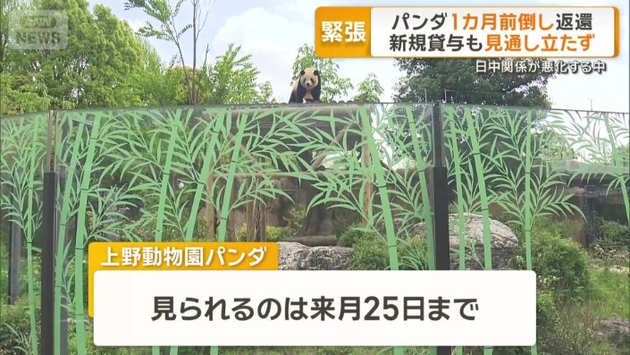 いつまで見られる?