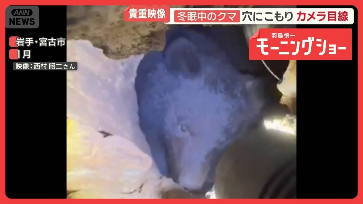 人里に依存「ニュータイプ」クマ　住宅に侵入…床下冬眠も？　長引く警戒