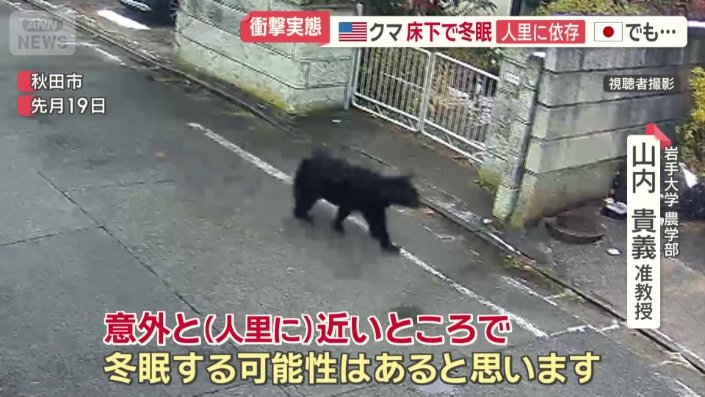 「人里に近い所で冬眠する可能性がある」