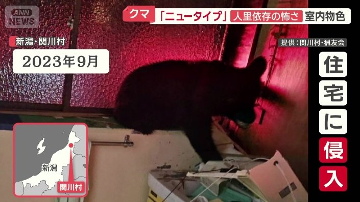 クマが住宅に侵入
