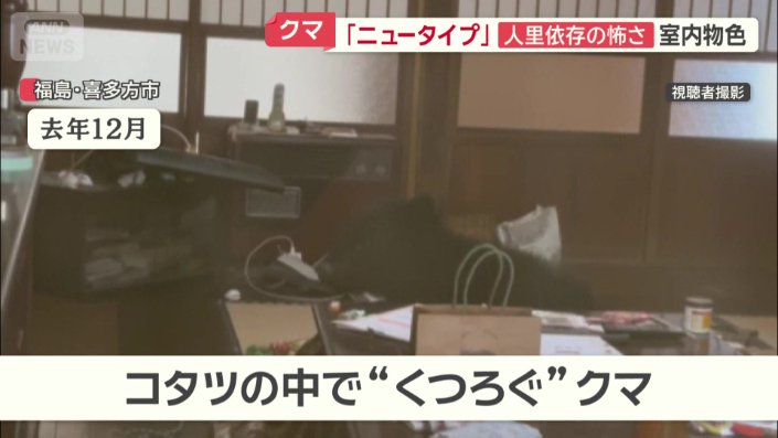 コタツの中でくつろぐクマ