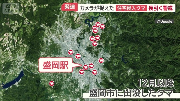 12月になってもクマの出没が相次ぐ