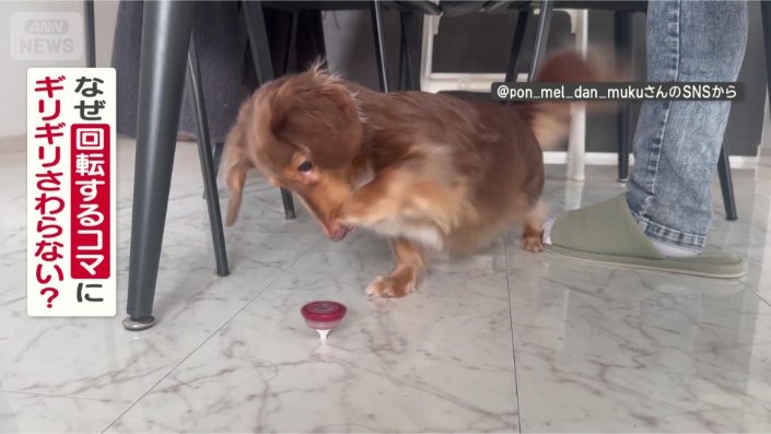 コマに触らないのはなぜ?