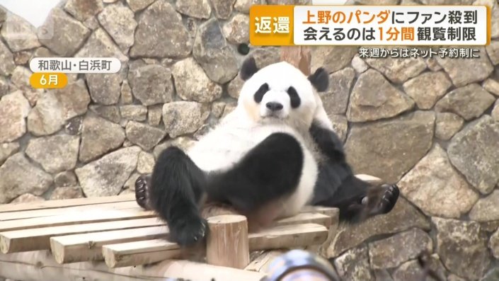 和歌山・アドベンチャーワールドのパンダ