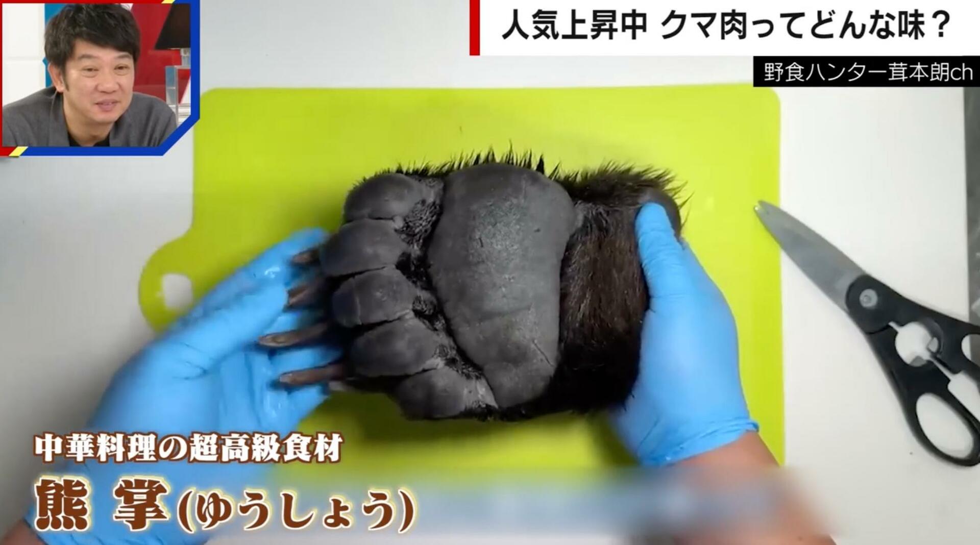 毛抜きに2時間半…高級食材“クマの手”ってどんな味?調理した男性「煮込みは圧力鍋で6時間」