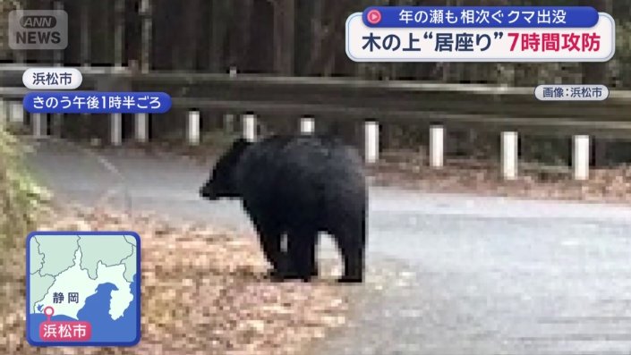 体長約1メートル