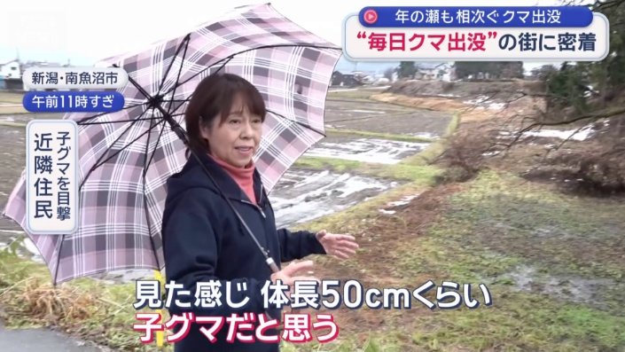 子グマを目撃 近隣住民