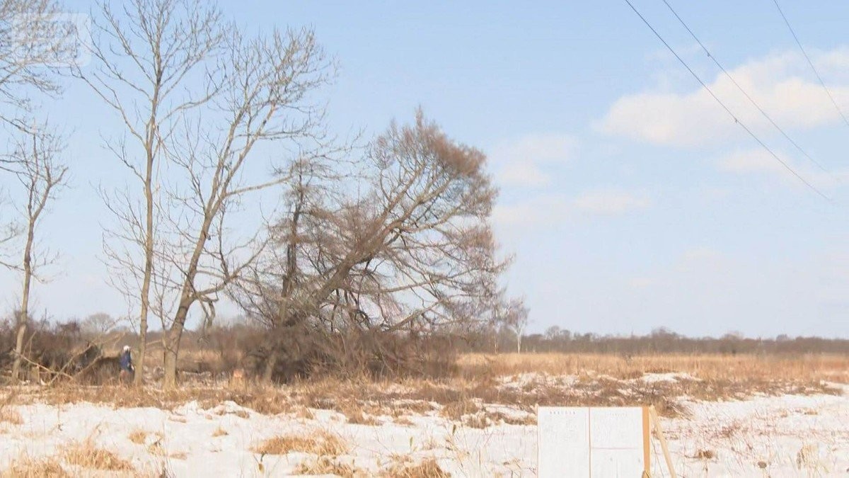 釧路メガソーラー問題　予定地で樹木伐採　合意なく住民反発　会社は年内着工方針