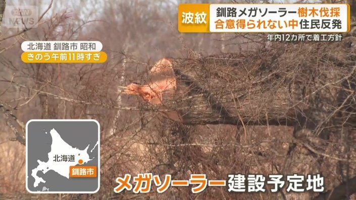 樹木の伐採が行われたメガソーラーの建設予定地