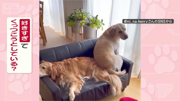 どうしてくっつきたいの？