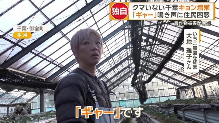 大音量の「鳴き声」も悩みの一つ