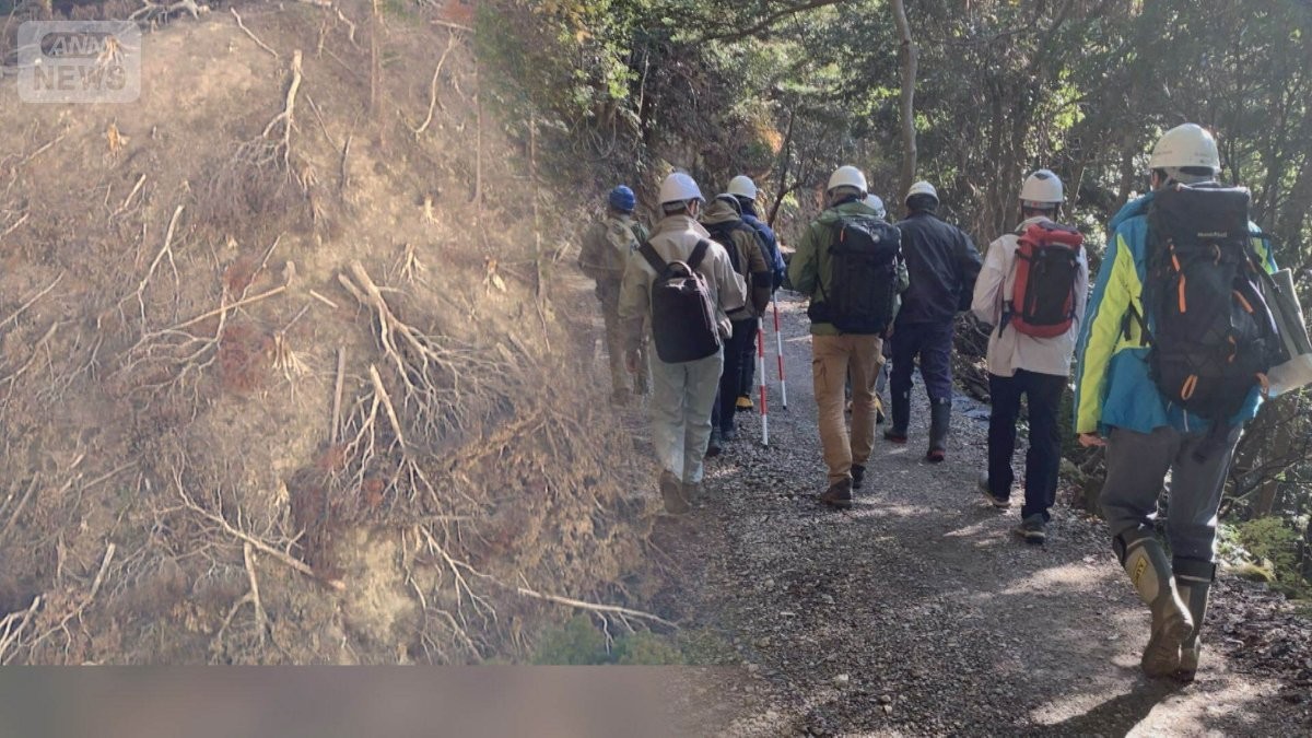 鴨川のメガソーラーで違法伐採　有識者ら現地立ち入り調査　千葉県「適切に行政指導」