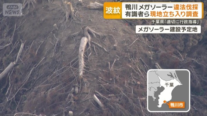 木が無造作に放置された鴨川市のメガソーラー建設現場