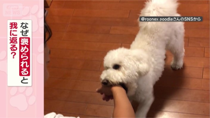 我に返るのはなぜ？