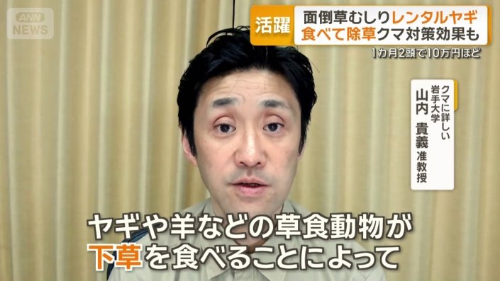 クマ対策に効果も