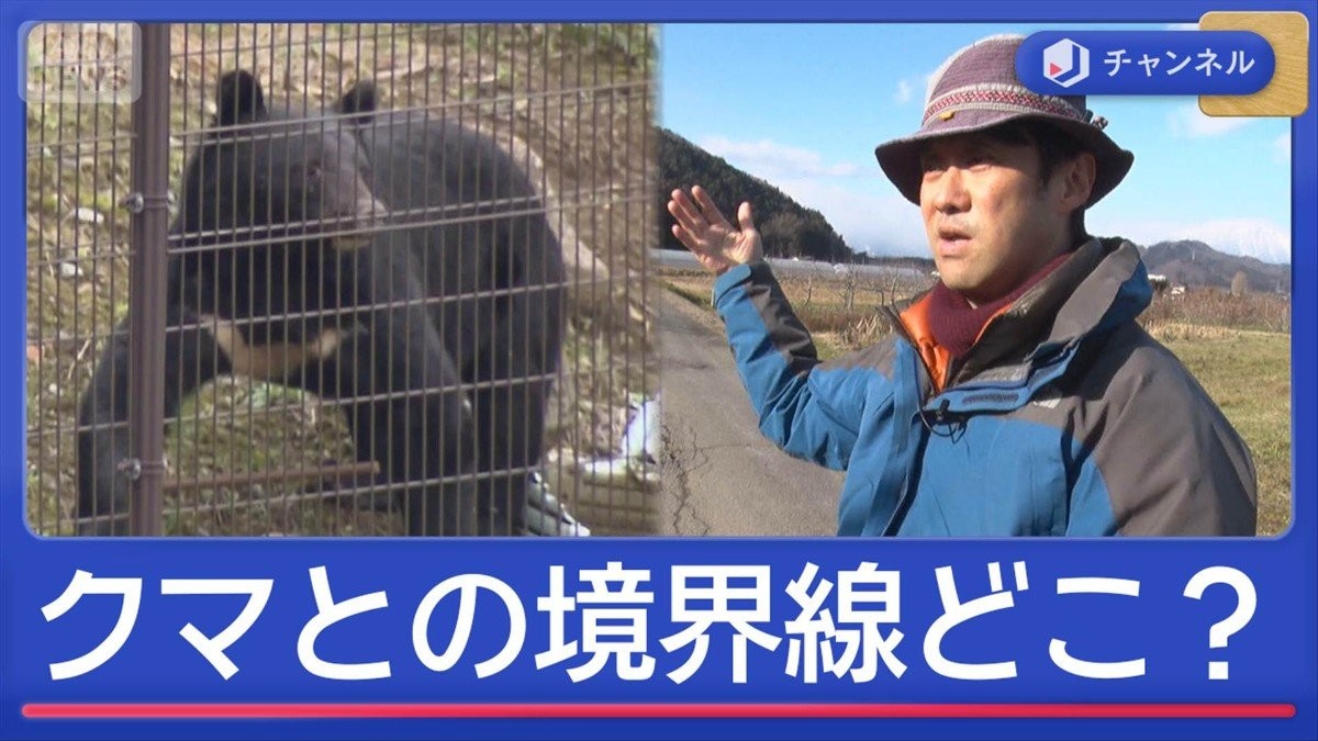長年研究の専門家が感じた“クマの異変”