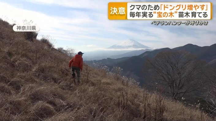 クマの食べ物を人里から離れた山に増やす取り組み