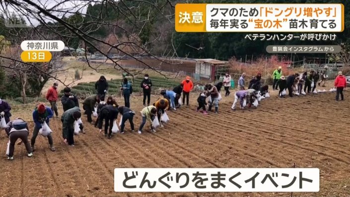 ドングリをまくイベント