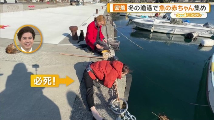 楽しんでいる住田アナウンサー