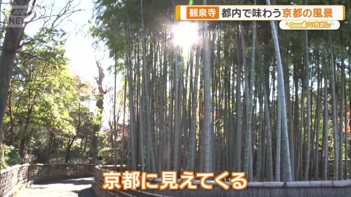 東京・杉並区　観泉寺