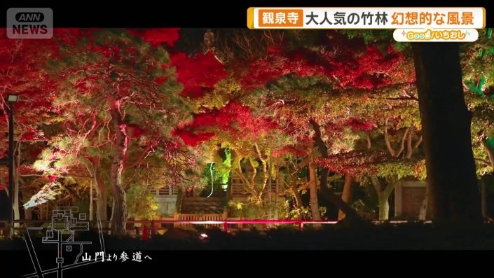 ライトアップイベントも