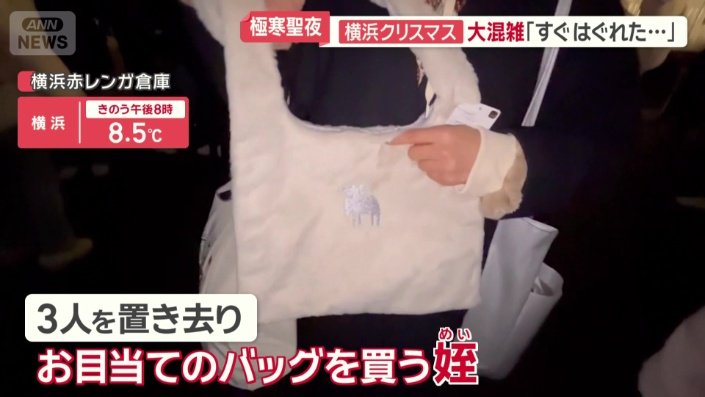 バッグを買いに行っていた姪