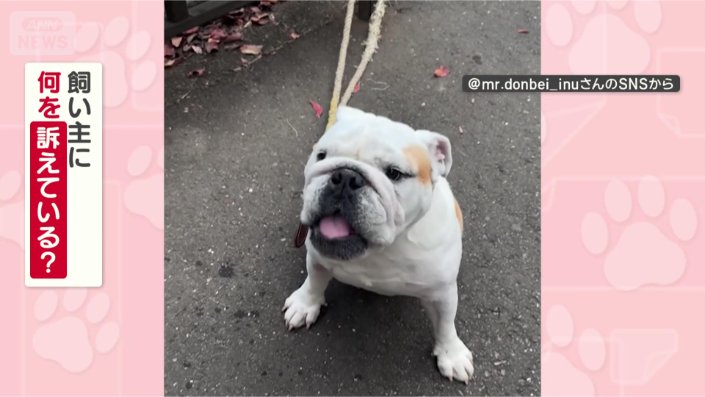 何を訴えてるの？