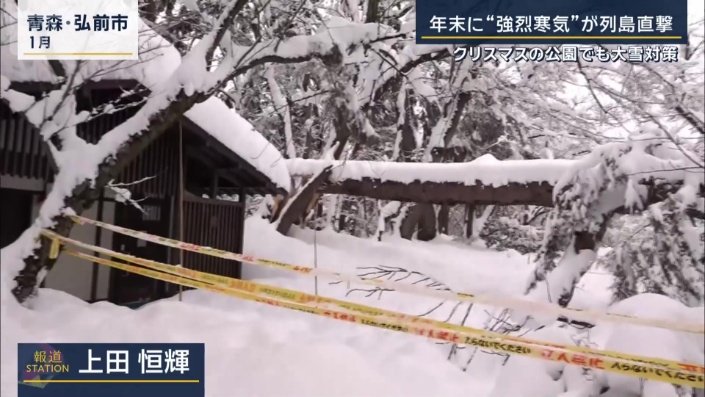 青森県弘前（1月）