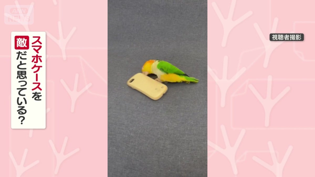 スマホケースを敵だと思ってる？