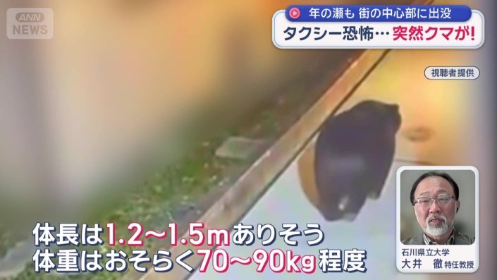 市街地をのそのそと歩く大きなクマ