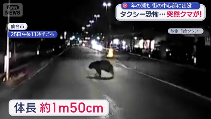 突然、クマが飛び出す
