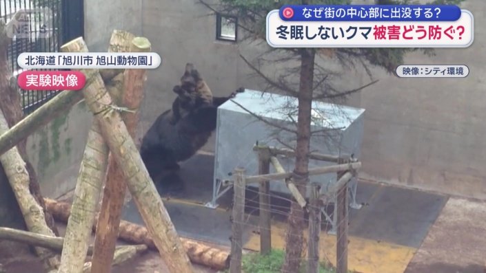 鉄製のごみステーションを力任せに押すヒグマ