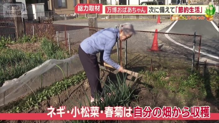 自分の畑から収穫