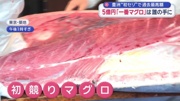 解体されるマグロ