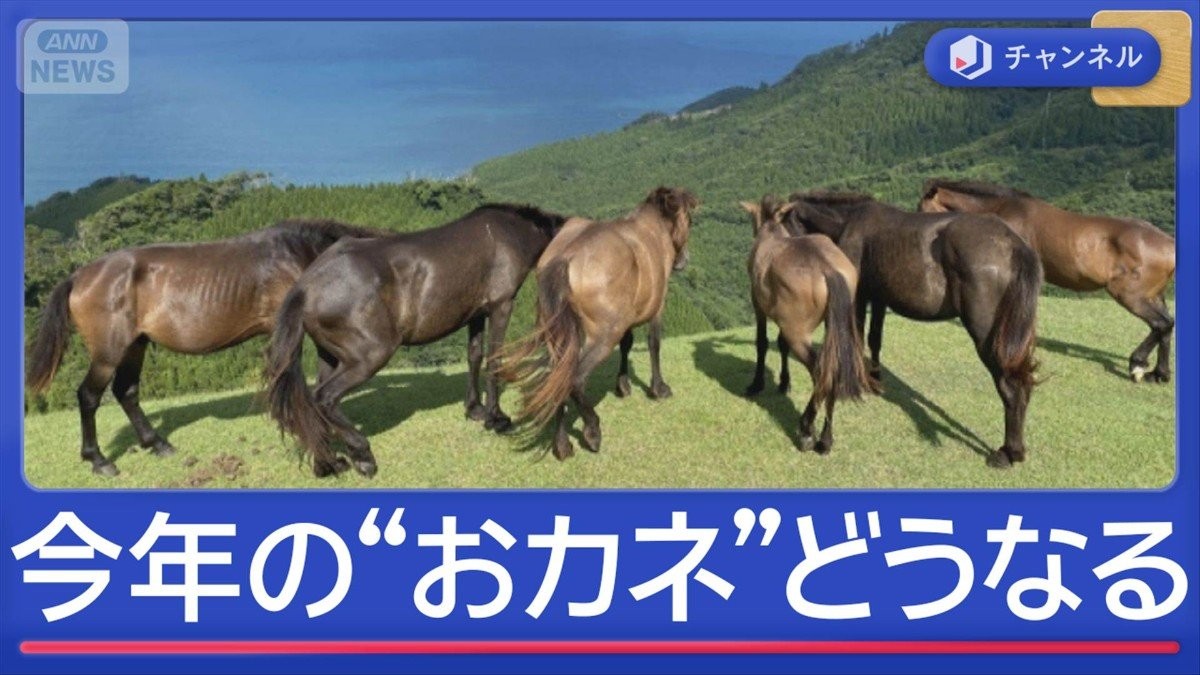 2026年のおカネ事情　物価・賃金・株価・光熱費　専門家の予想は
