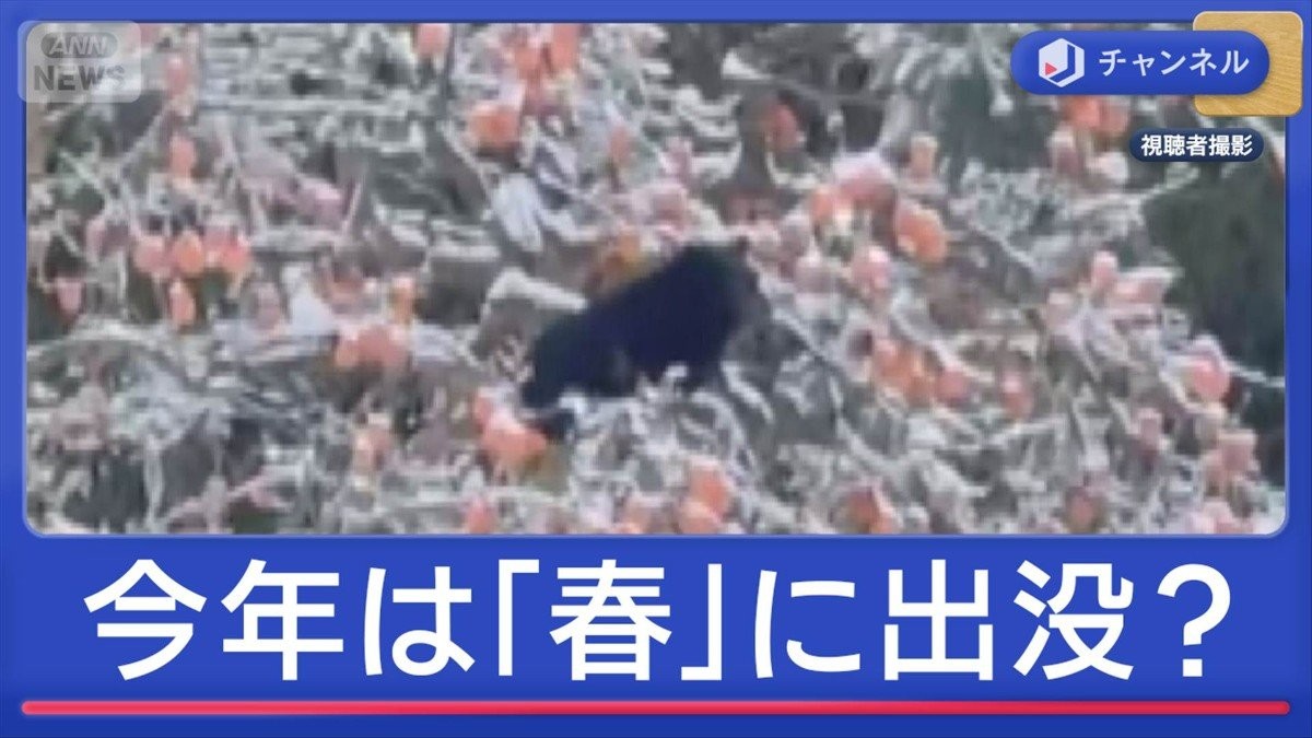 今年は「春」から異変?年末年始もクマ続出 対策のカギは