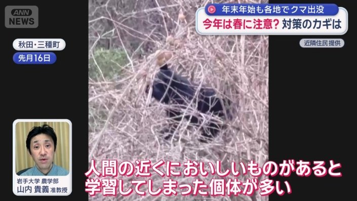 “アーバンベア”の存在を指摘