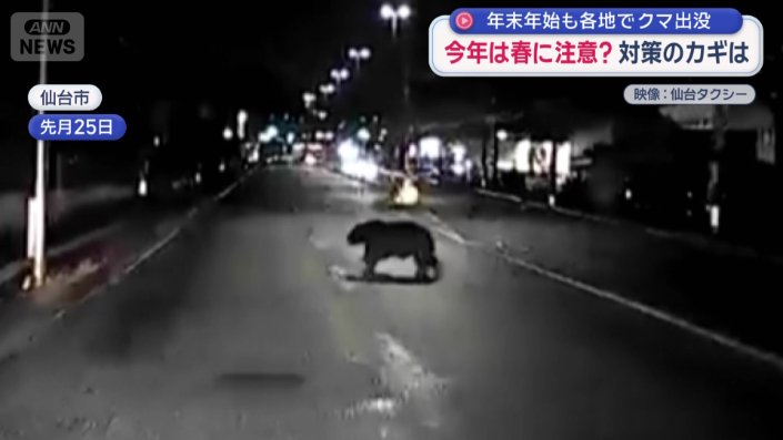 走行するタクシーの目の前にクマ
