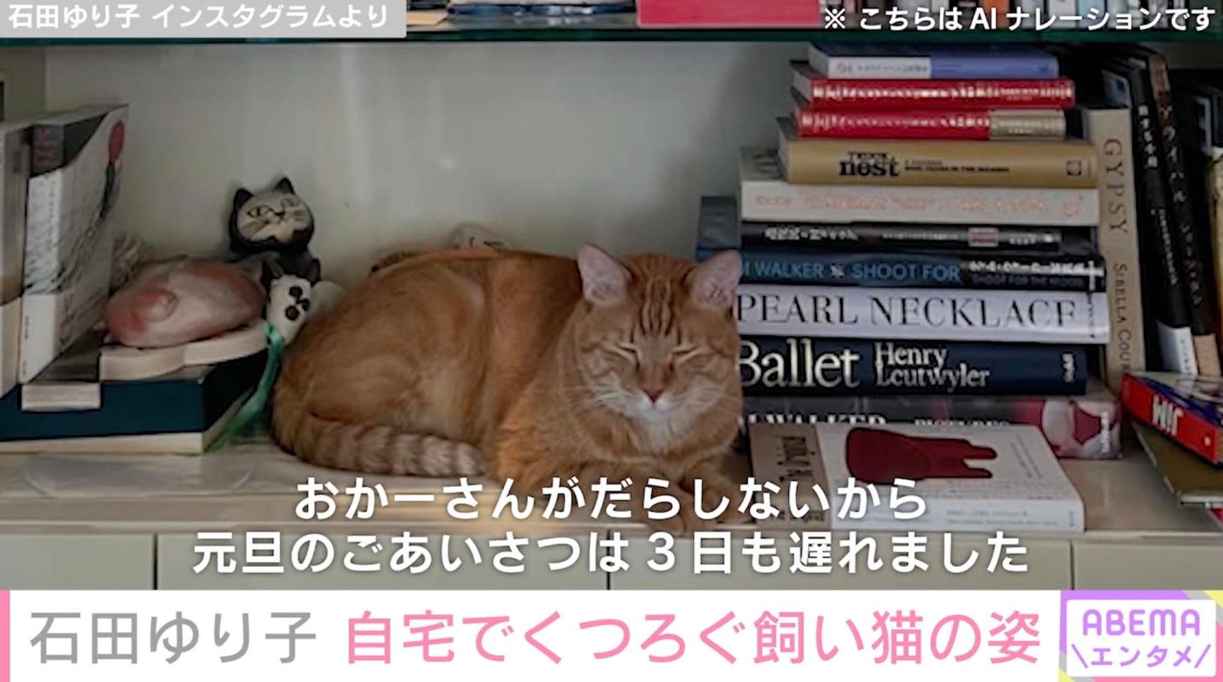 【写真・画像】石田ゆり子(56) 生活感あふれる自宅でくつろぐ飼い猫の姿を公開「石田さんちのインテリアはどれを見ても美しい」 2枚目