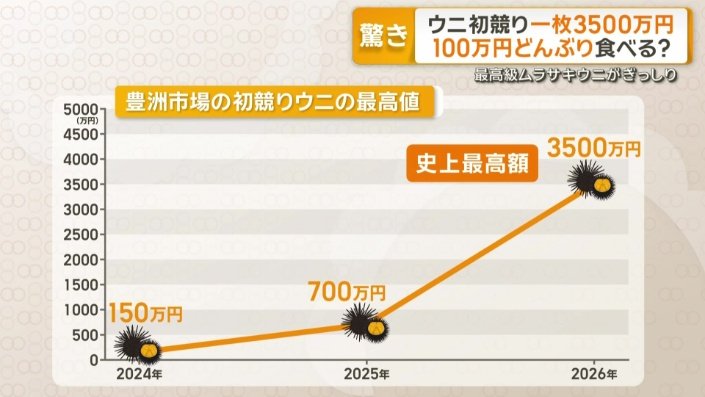 豊洲市場の初競りウニの最高値