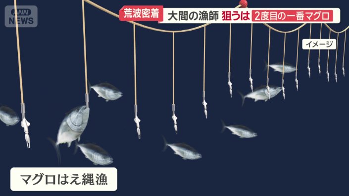 マグロはえ縄漁
