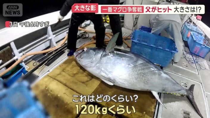 船にあがったマグロ