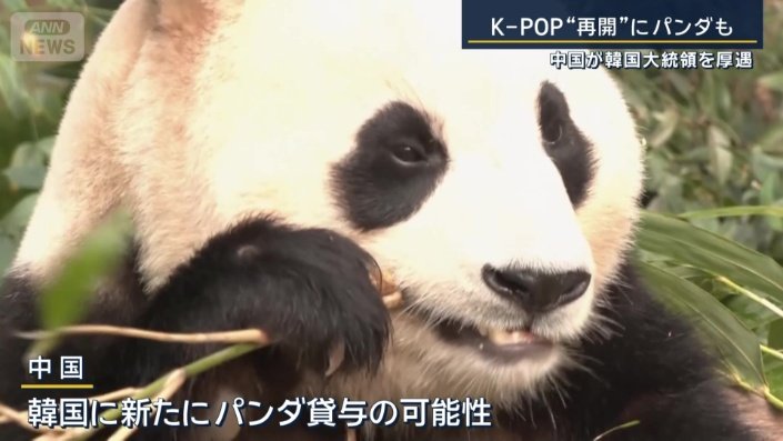 パンダについて協力を強化