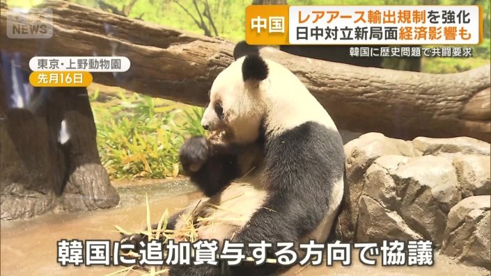 日本にはいなくなるジャイアントパンダ