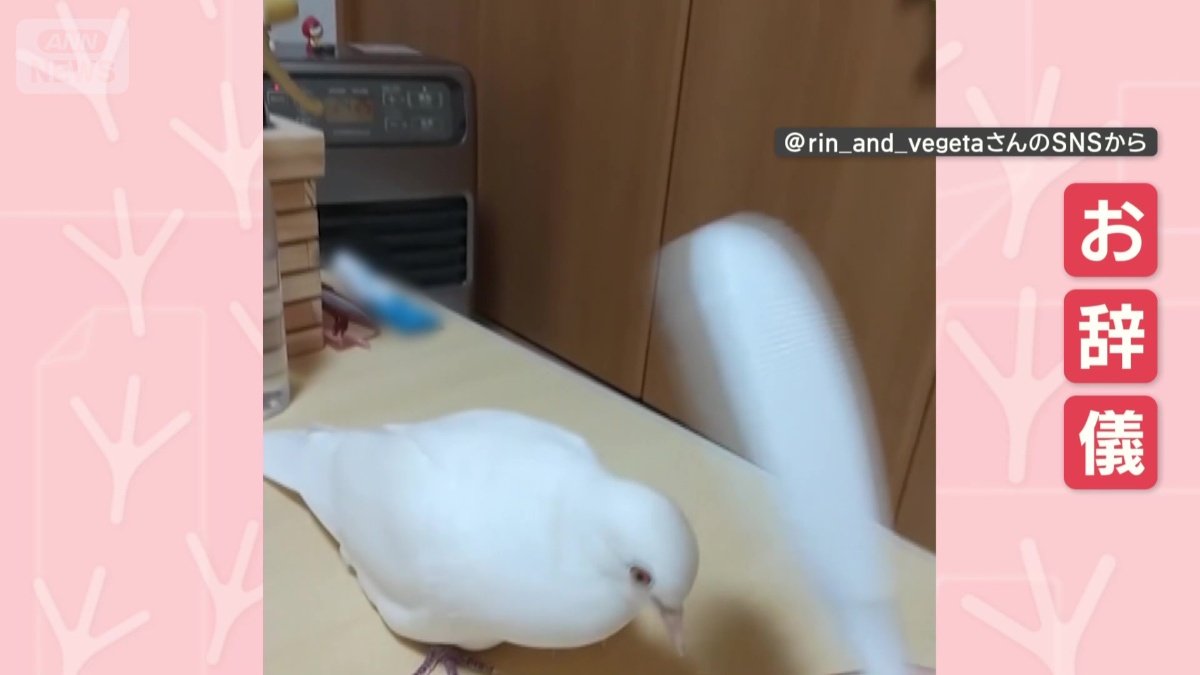 しゃもじにお辞儀