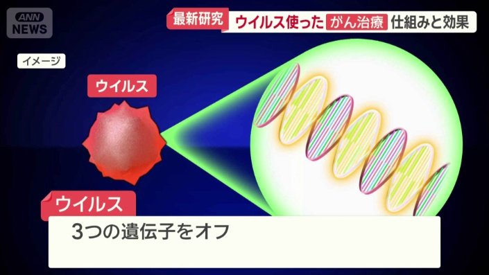 がん細胞で増え続け、正常細胞では増えず