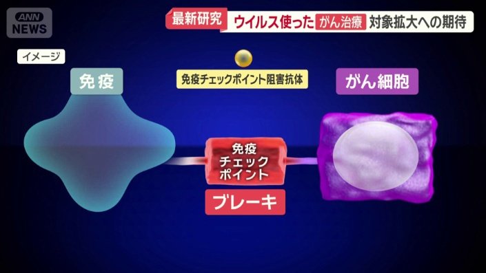 免疫チェックポイントの働きを阻害