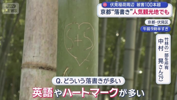 竹への落書き被害が多発