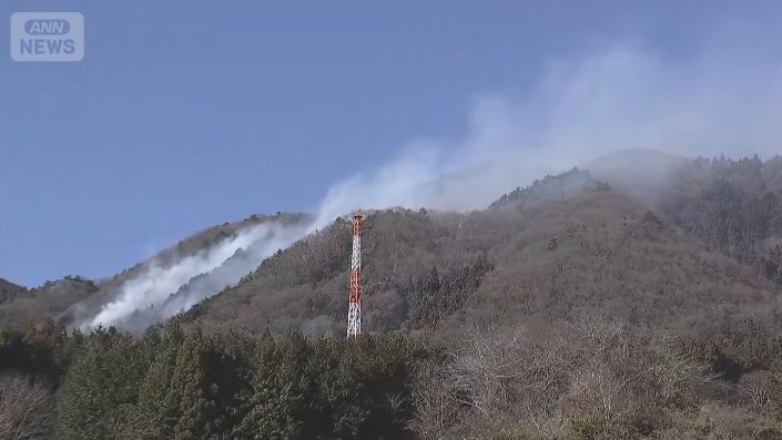 10日午前10時ごろ