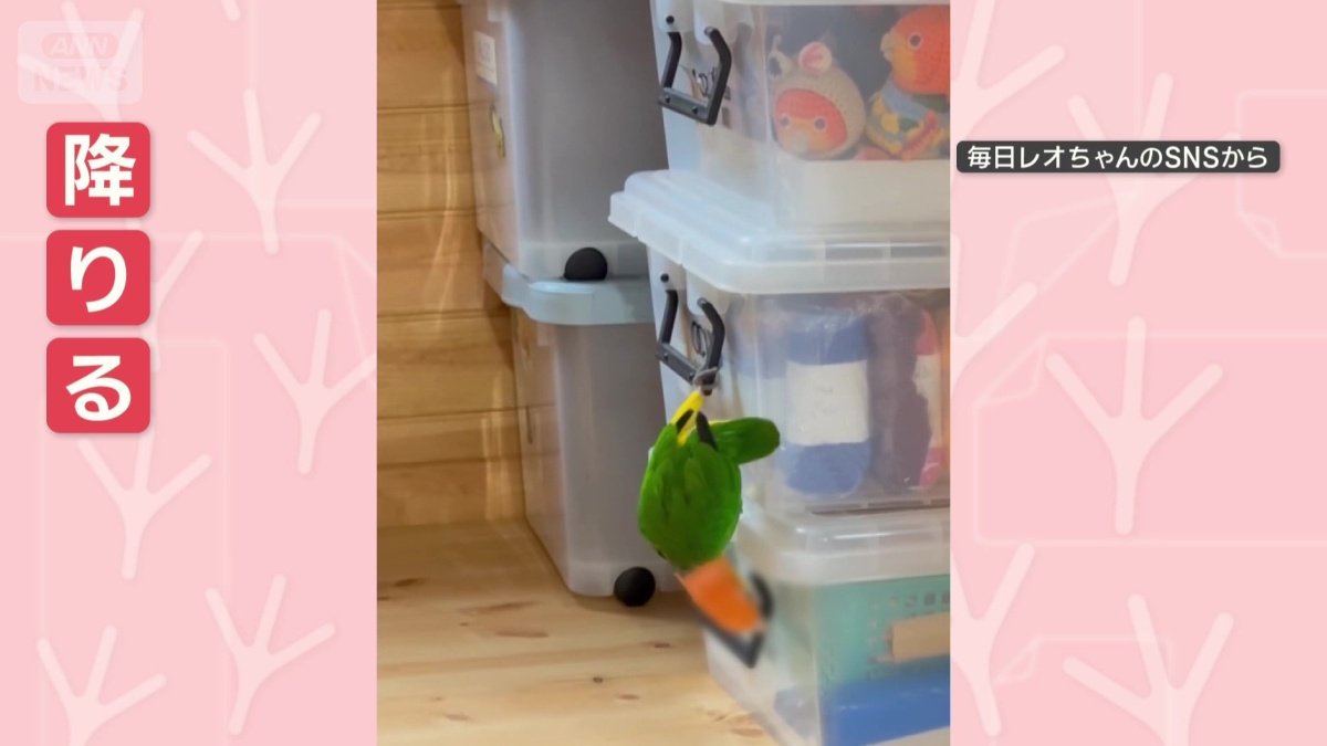 くちばしと脚で降りる